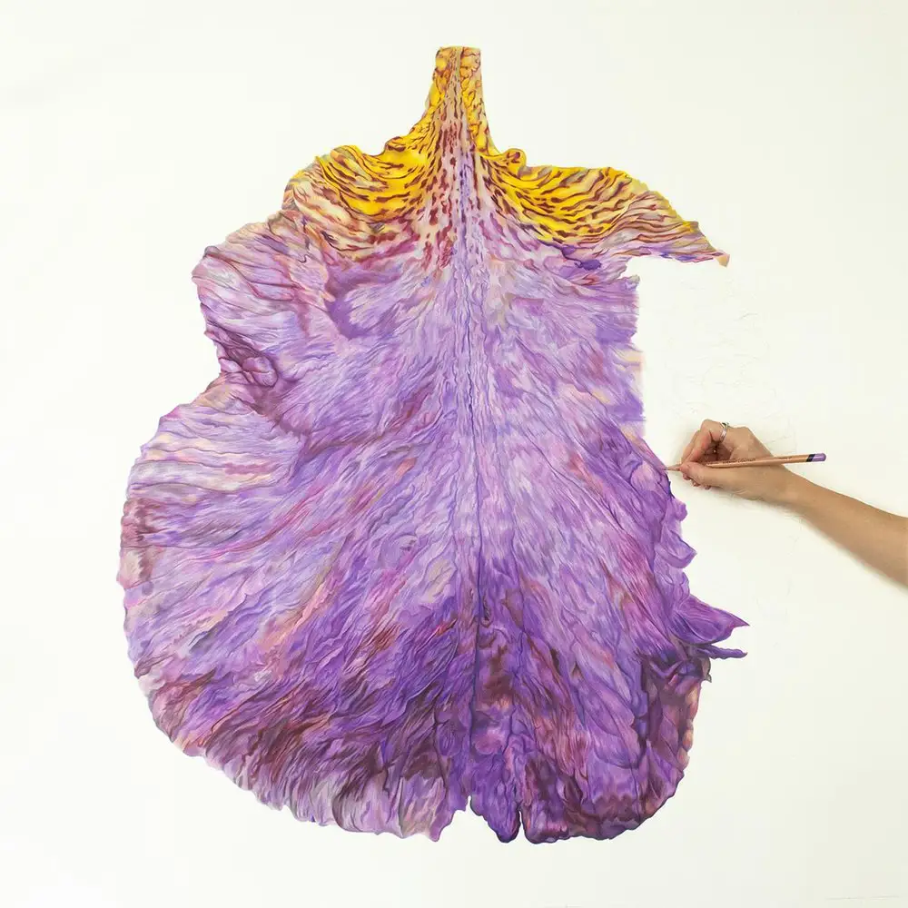 Kredki artystyczne Lightfast Derwent - zestaw 12 kolorów w metalowej kasecie - rysunek